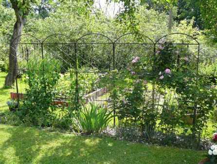 Сад-огород: как организовать практичный уголок на участке