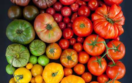 Сорта томатов: от классических до редких и экзотических