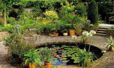 Садовые водоемы: создание привлекательного акцента в саду